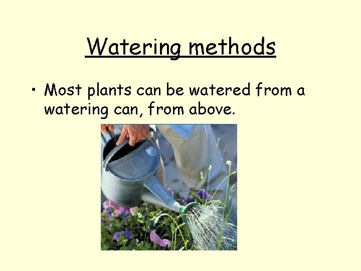 Watering methods • Most plants can be watered from a watering can, from above.