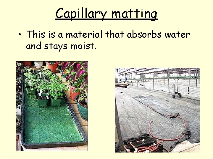 Capillary matting • This is a material that absorbs water and stays moist. 