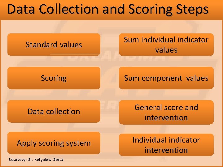 Data Collection and Scoring Steps Standard values Sum individual indicator values Scoring Sum component