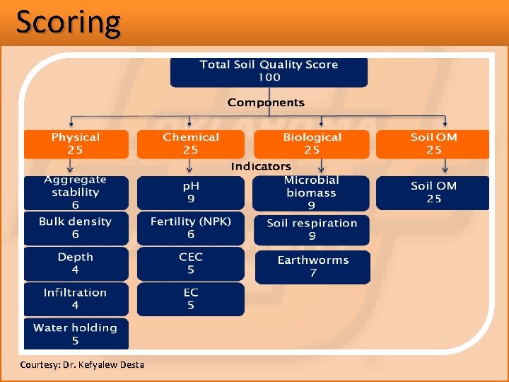 Scoring Courtesy: Dr. Kefyalew Desta 