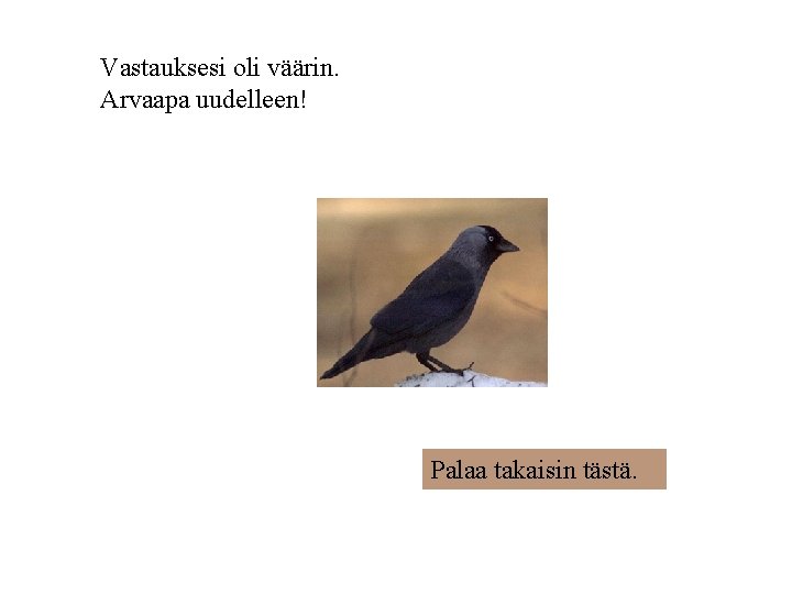 Vastauksesi oli väärin. Arvaapa uudelleen! Palaa takaisin tästä. 