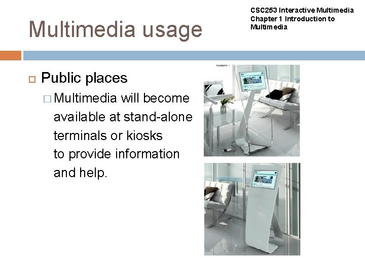 Multimedia usage Public places � Multimedia will become available at stand-alone terminals or kiosks