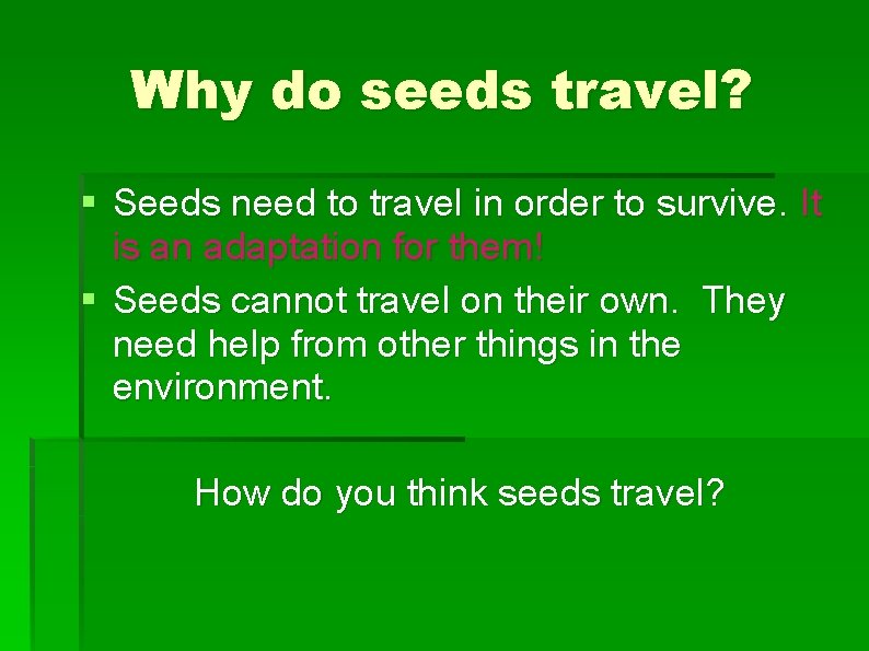 Why do seeds travel? § Seeds need to travel in order to survive. It