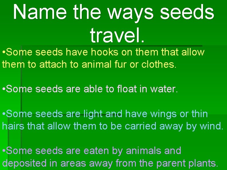 Name the ways seeds travel. • Some seeds have hooks on them that allow