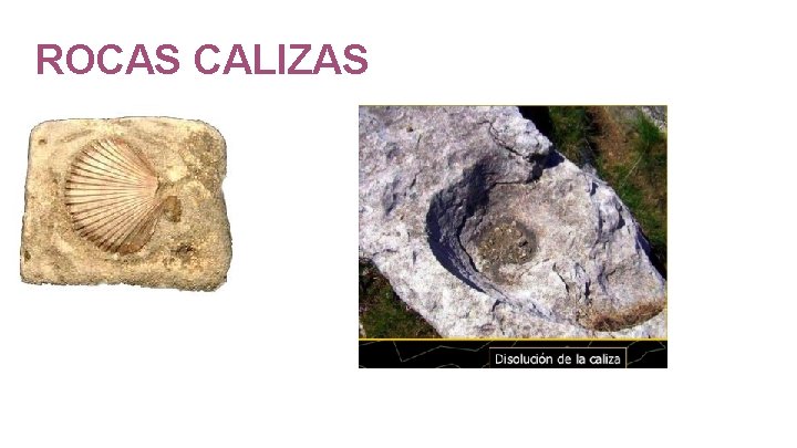 ROCAS CALIZAS 