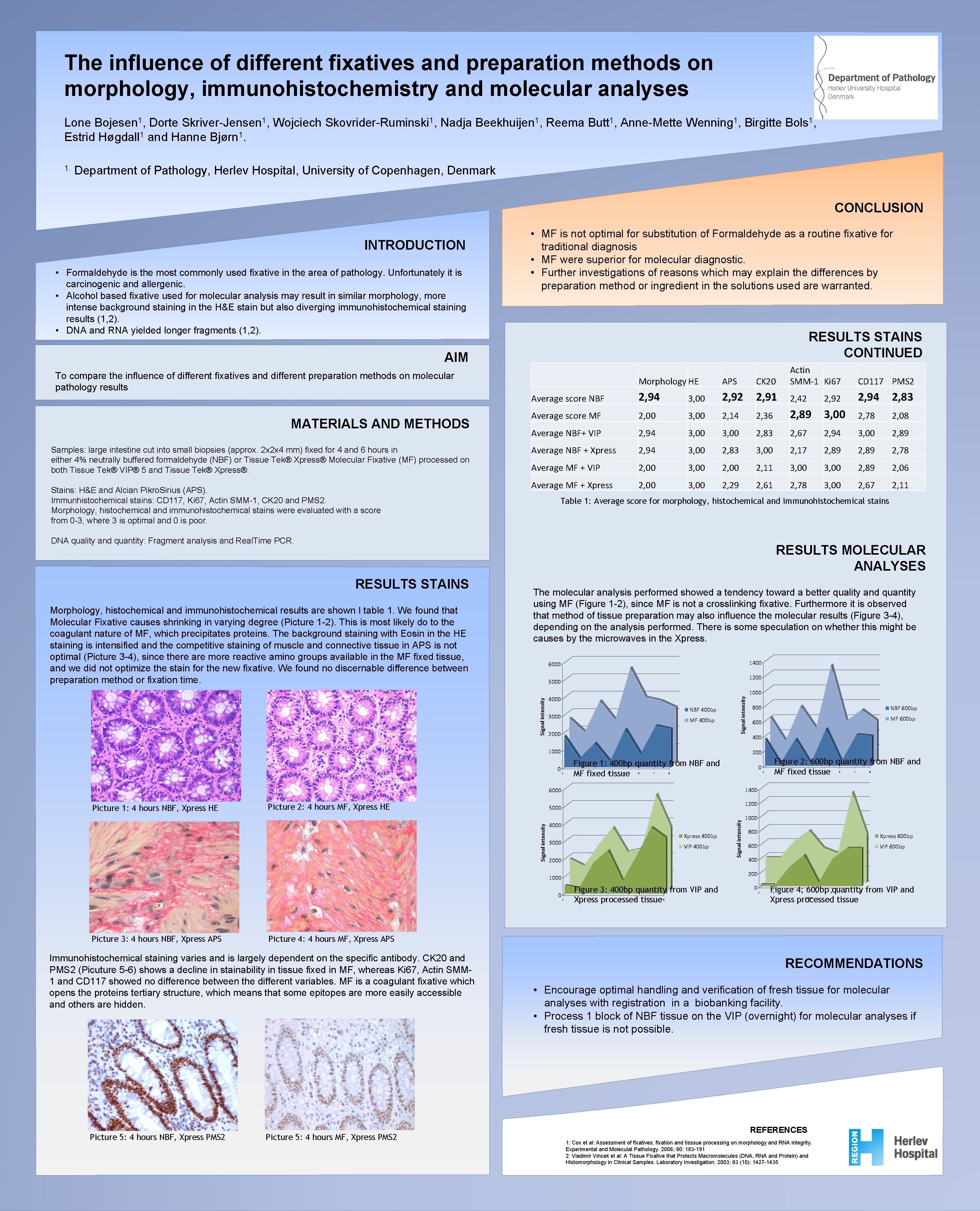 The influence of different fixatives and preparation methods on morphology, immunohistochemistry and molecular analyses