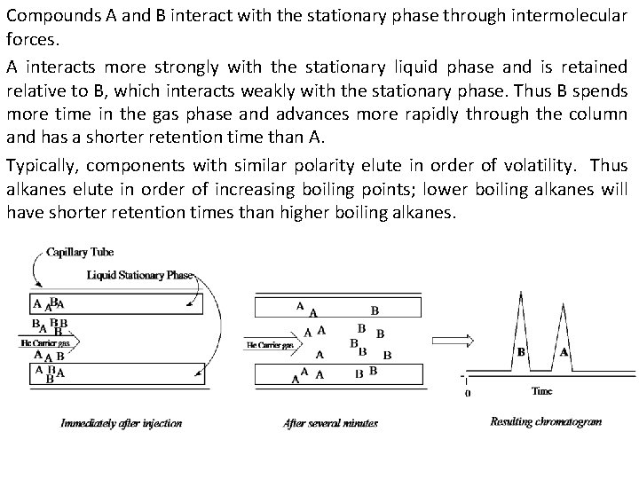Compounds A and B interact with the stationary phase through intermolecular forces. A interacts Compounds A and B interact with the stationary phase through intermolecular forces. A interacts