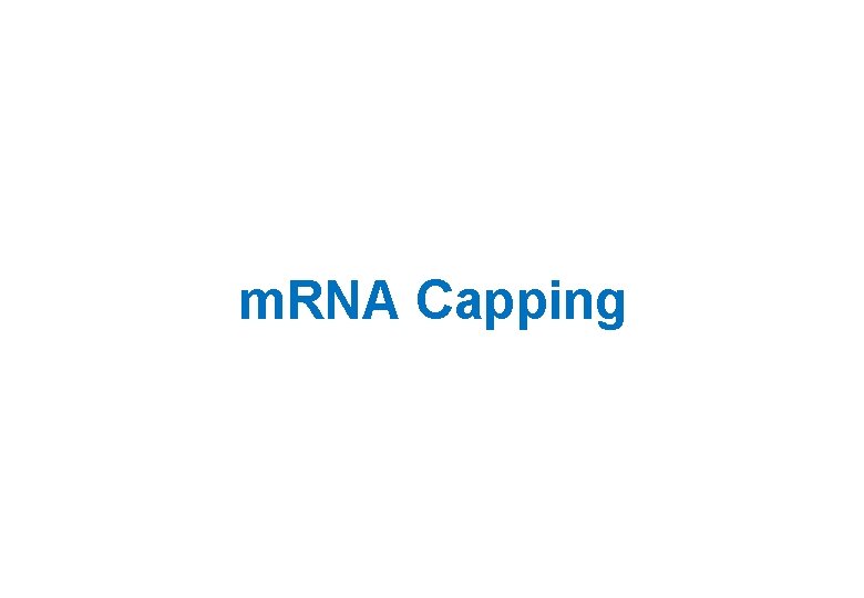 m. RNA Capping 