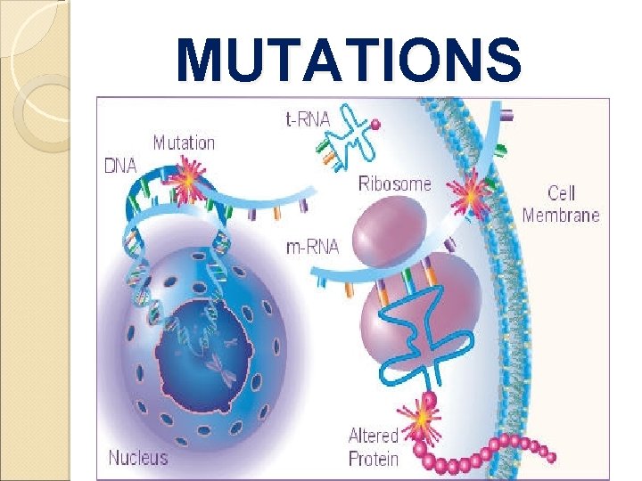 MUTATIONS 