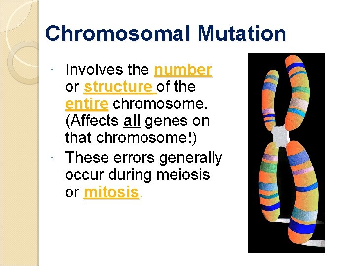 Chromosomal Mutation Involves the number or structure of the entire chromosome. (Affects all genes