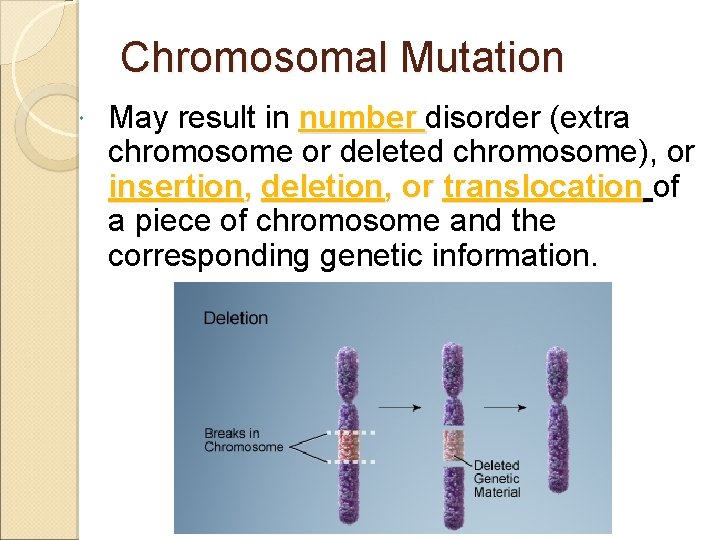 Chromosomal Mutation May result in number disorder (extra chromosome or deleted chromosome), or insertion,