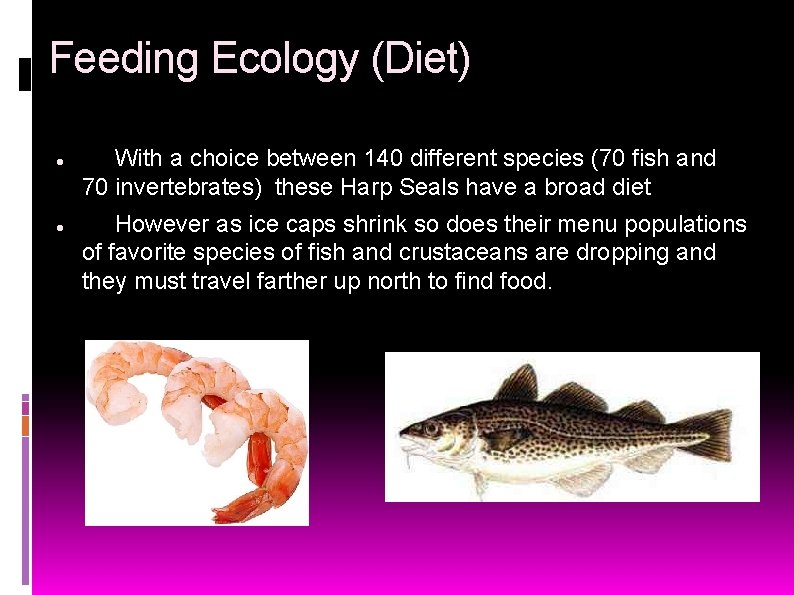Feeding Ecology (Diet) With a choice between 140 different species (70 fish and 70