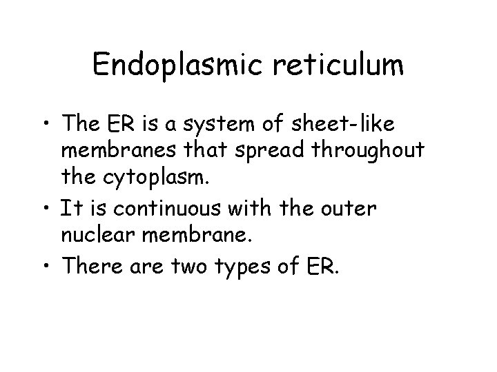 Endoplasmic reticulum • The ER is a system of sheet-like membranes that spread throughout