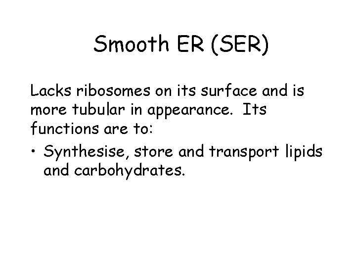 Smooth ER (SER) Lacks ribosomes on its surface and is more tubular in appearance.