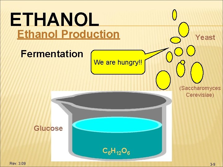 ETHANOL Ethanol Production Fermentation Yeast We are hungry!! (Saccharomyces Cerevisiae) Glucose C 6 H
