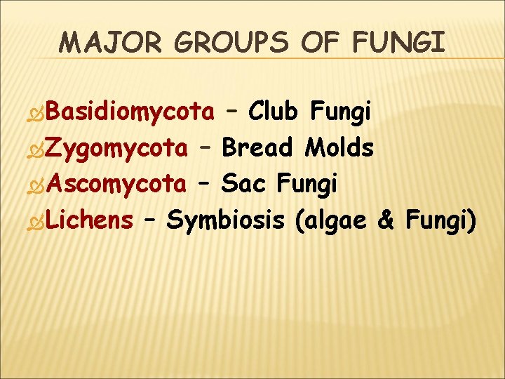 MAJOR GROUPS OF FUNGI Basidiomycota – Club Fungi Zygomycota – Bread Molds Ascomycota –