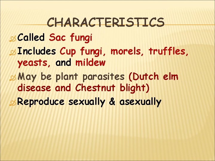  Called CHARACTERISTICS Sac fungi Includes Cup fungi, morels, truffles, yeasts, and mildew May