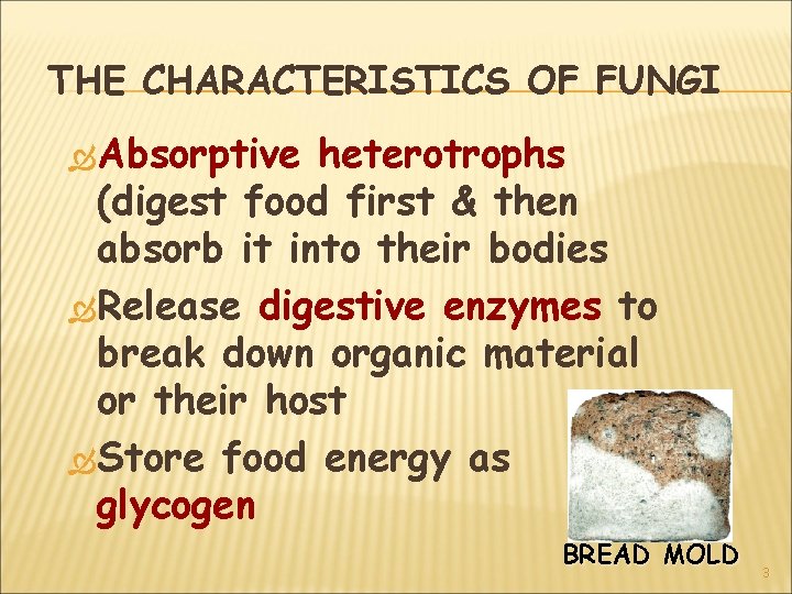 THE CHARACTERISTICS OF FUNGI Absorptive heterotrophs (digest food first & then absorb it into