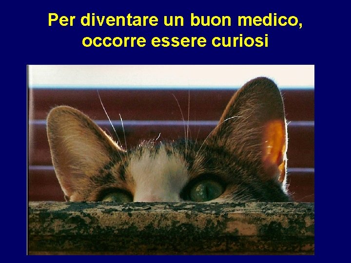 Per diventare un buon medico, occorre essere curiosi 