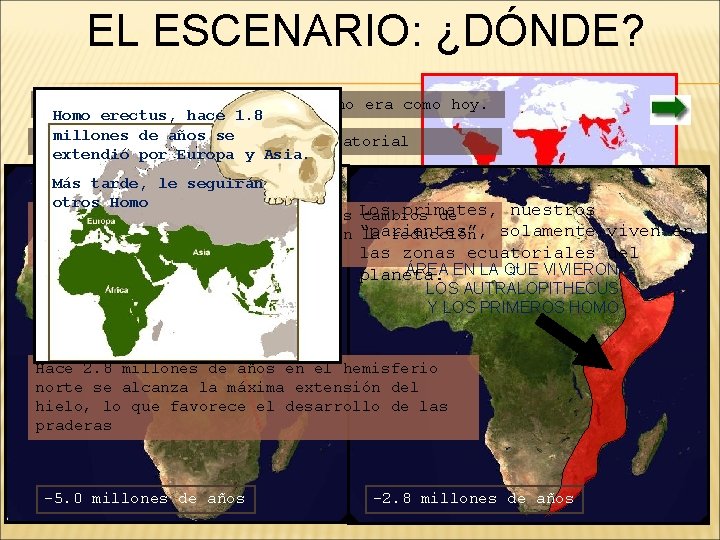 EL ESCENARIO: ¿DÓNDE? Hace 5 millones de años África no era como hoy. Homo