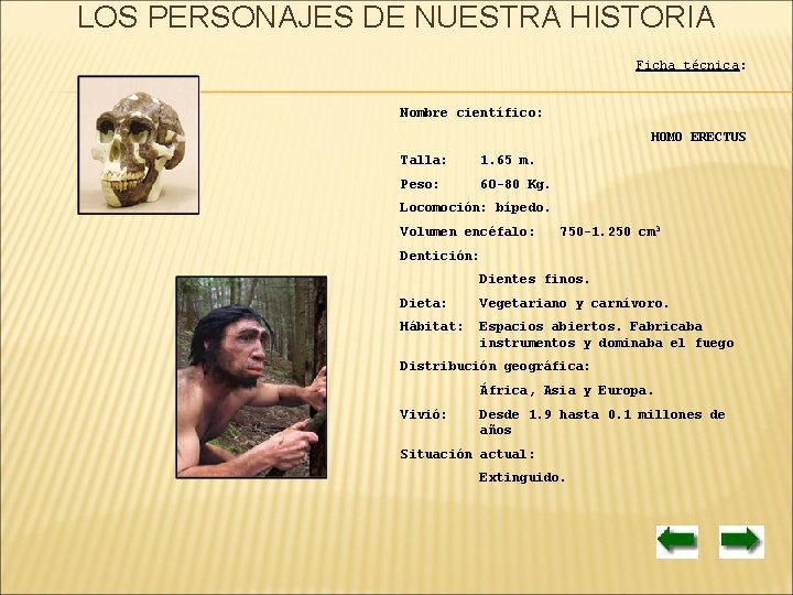 LOS PERSONAJES DE NUESTRA HISTORIA Ficha técnica: Nombre científico: HOMO ERECTUS Talla: 1. 65