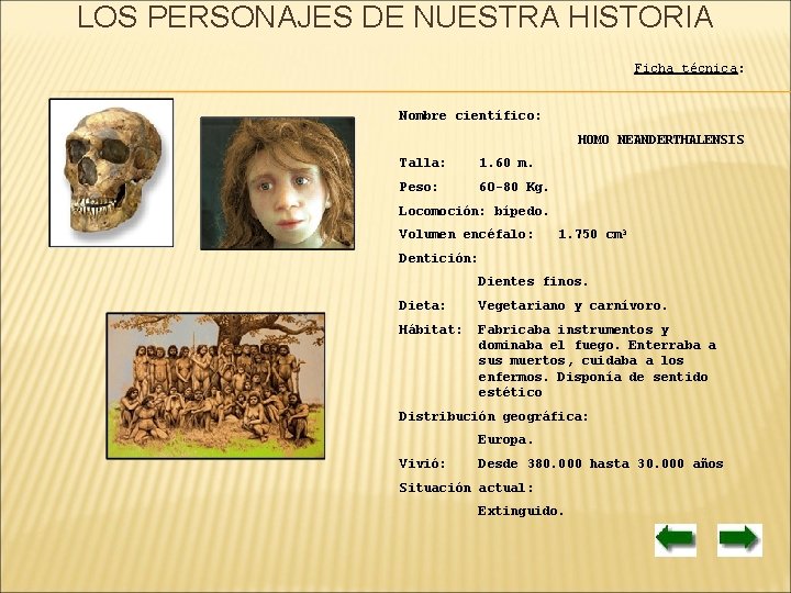 LOS PERSONAJES DE NUESTRA HISTORIA Ficha técnica: Nombre científico: HOMO NEANDERTHALENSIS Talla: 1. 60