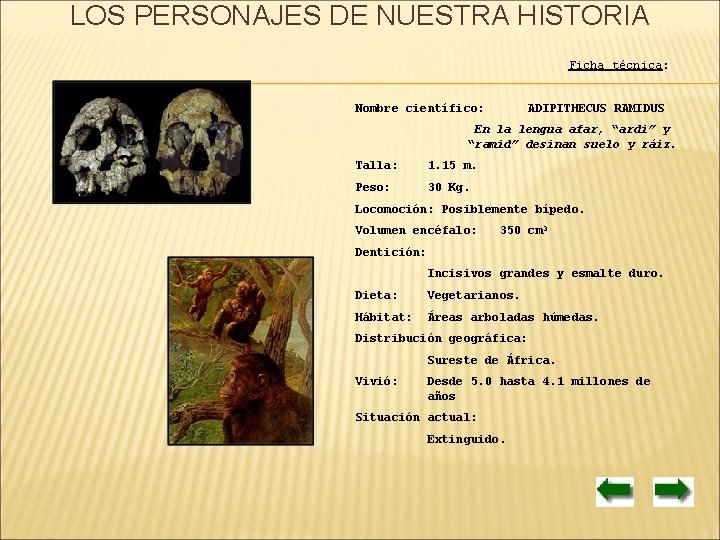 LOS PERSONAJES DE NUESTRA HISTORIA Ficha técnica: Nombre científico: ADIPITHECUS RAMIDUS En la lengua