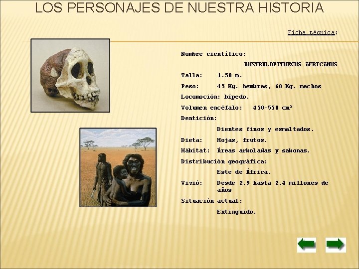 LOS PERSONAJES DE NUESTRA HISTORIA Ficha técnica: Nombre científico: AUSTRALOPITHECUS AFRICANUS Talla: 1. 50