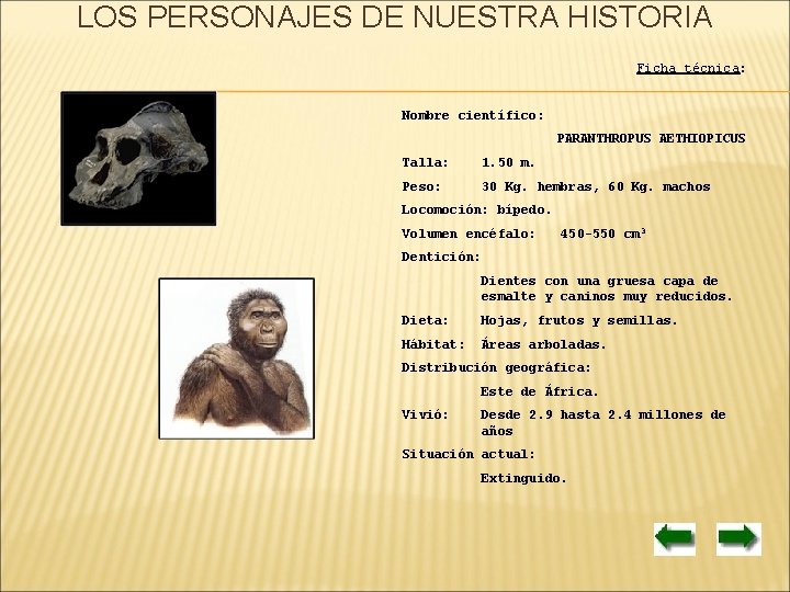 LOS PERSONAJES DE NUESTRA HISTORIA Ficha técnica: Nombre científico: PARANTHROPUS AETHIOPICUS Talla: 1. 50