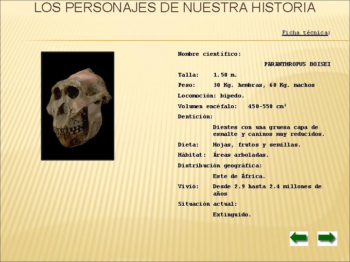 LOS PERSONAJES DE NUESTRA HISTORIA Ficha técnica: Nombre científico: PARANTHROPUS BOISEI Talla: 1. 50