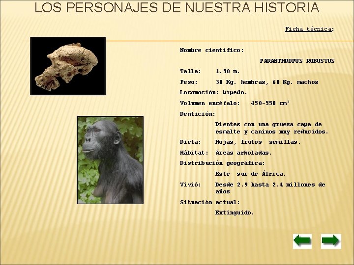 LOS PERSONAJES DE NUESTRA HISTORIA Ficha técnica: Nombre científico: PARANTHROPUS ROBUSTUS Talla: 1. 50