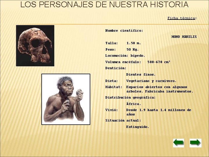 LOS PERSONAJES DE NUESTRA HISTORIA Ficha técnica: Nombre científico: HOMO HABILIS Talla: 1. 50