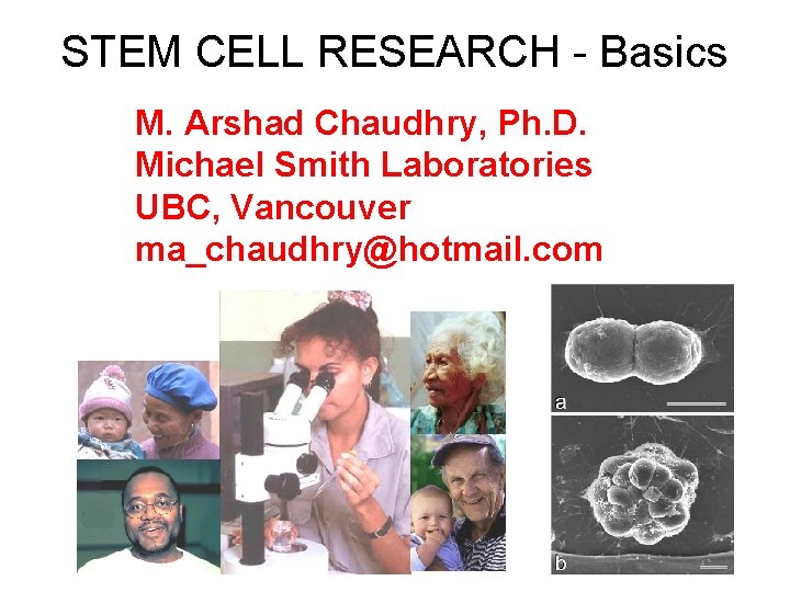 STEM CELL RESEARCH - Basics M. Arshad Chaudhry, Ph. D. Michael Smith Laboratories UBC,