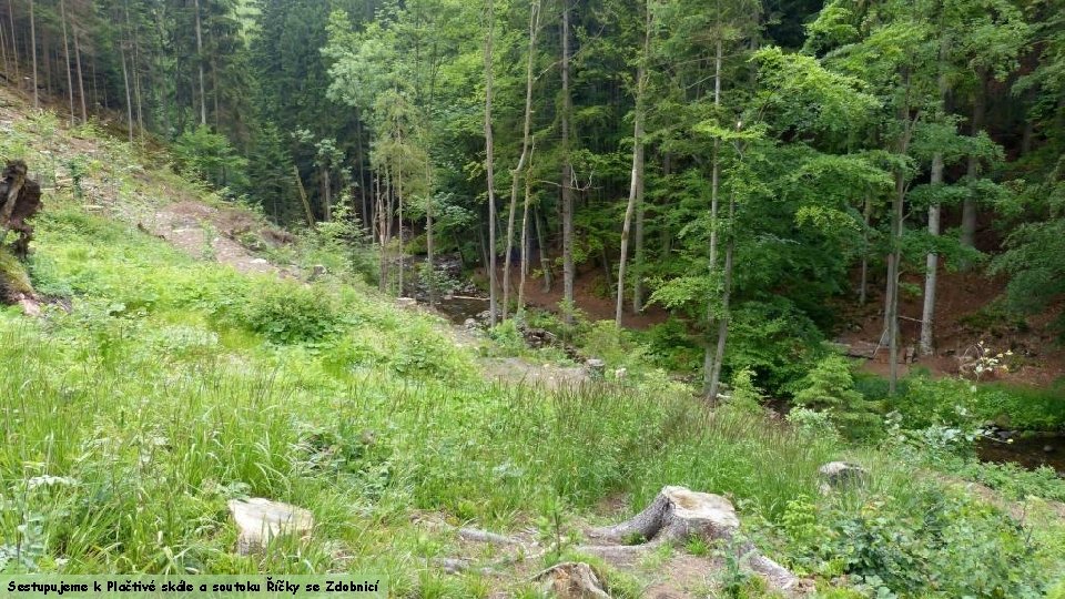 Sestupujeme k Plačtivé skále a soutoku Říčky se Zdobnicí 