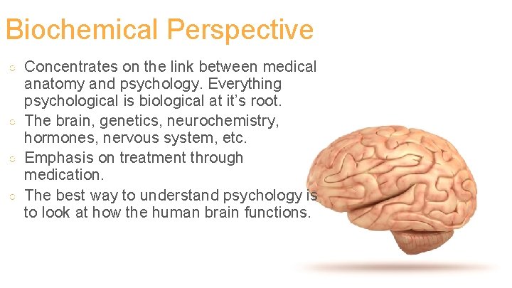 Biochemical Perspective ○ ○ Concentrates on the link between medical anatomy and psychology. Everything