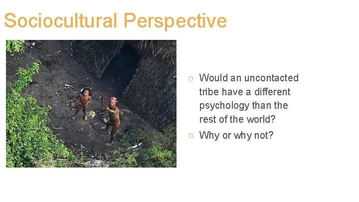Sociocultural Perspective ○ Would an uncontacted tribe have a different psychology than the rest