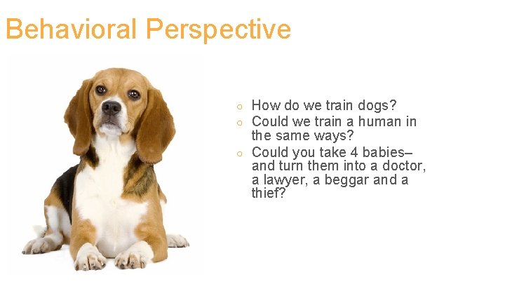 Behavioral Perspective ○ ○ ○ How do we train dogs? Could we train a