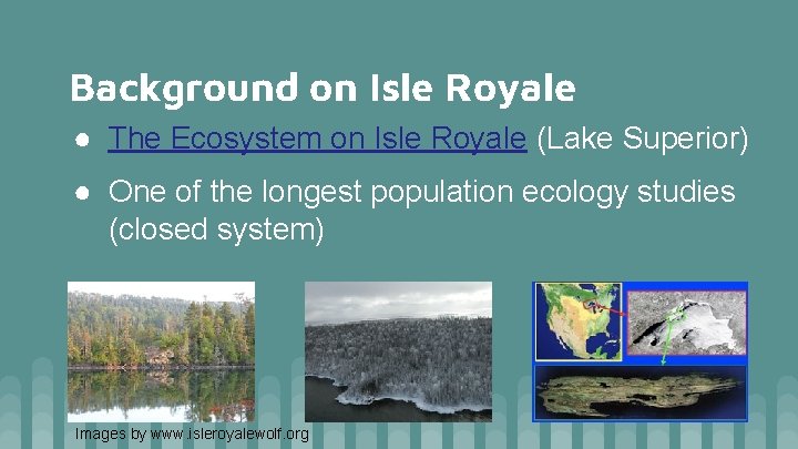 Background on Isle Royale ● The Ecosystem on Isle Royale (Lake Superior) ● One