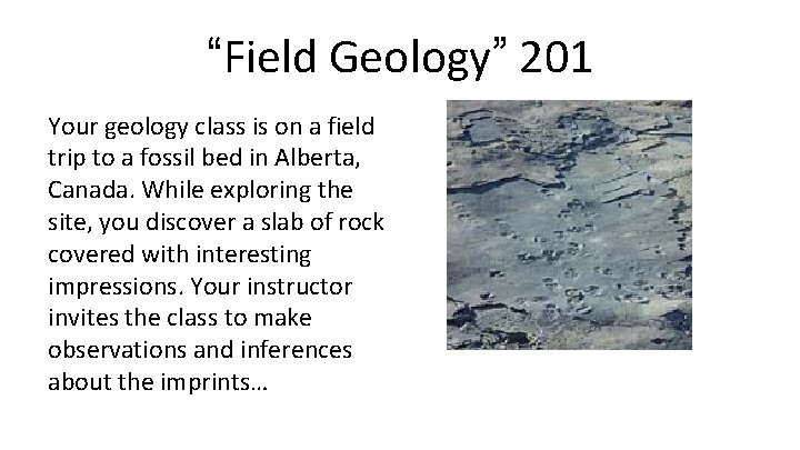 “Field Geology” 201 Your geology class is on a field trip to a fossil