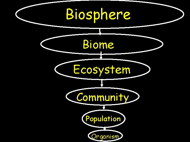 Biosphere Biome Ecosystem Community Population Organism 