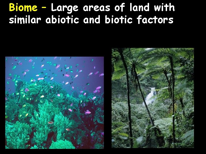 Biome – Large areas of land with similar abiotic and biotic factors 