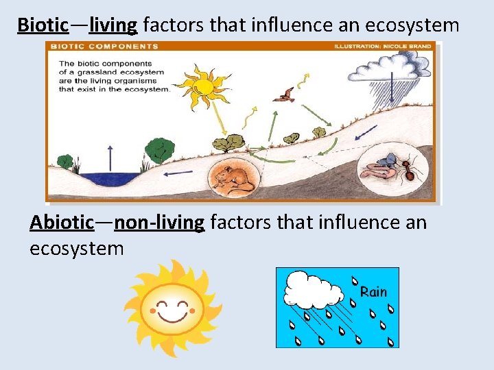 Biotic—living factors that influence an ecosystem Abiotic—non-living factors that influence an ecosystem 