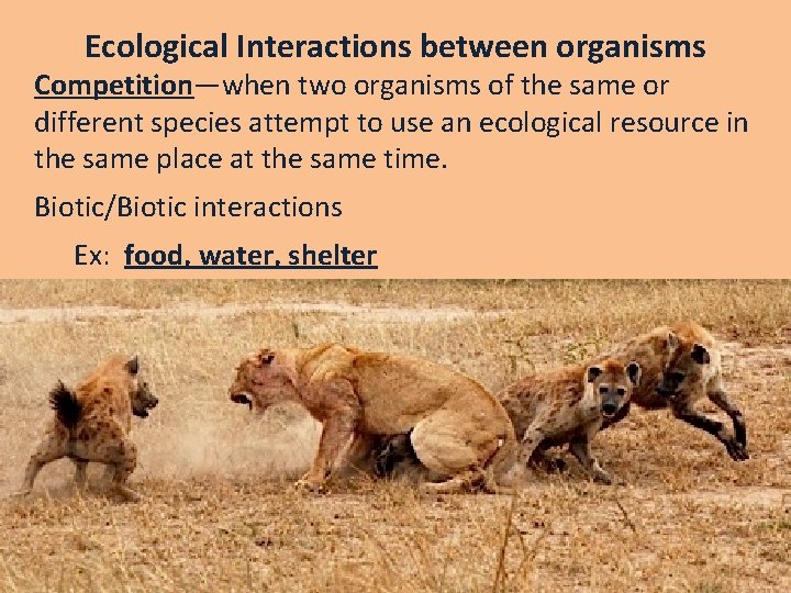Ecological Interactions between organisms Competition—when two organisms of the same or different species attempt