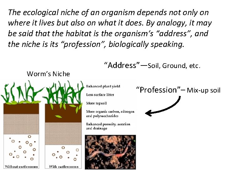 The ecological niche of an organism depends not only on where it lives but