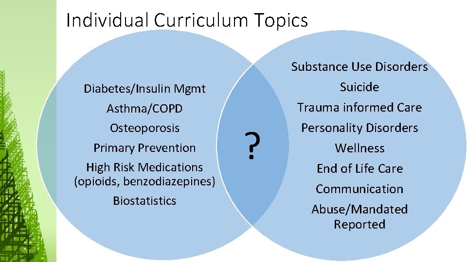 Individual Curriculum Topics Substance Use Disorders Diabetes/Insulin Mgmt Asthma/COPD Osteoporosis Primary Prevention High Risk