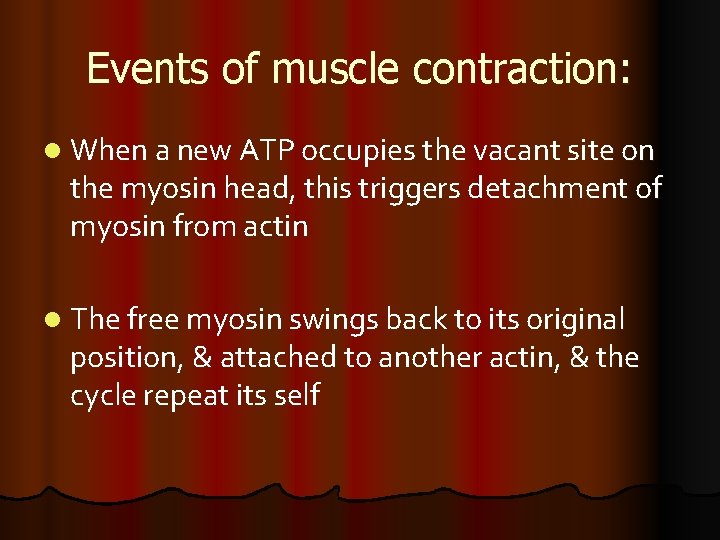 Events of muscle contraction: l When a new ATP occupies the vacant site on