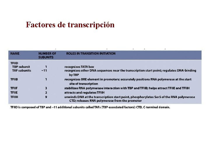 Factores de transcripción 