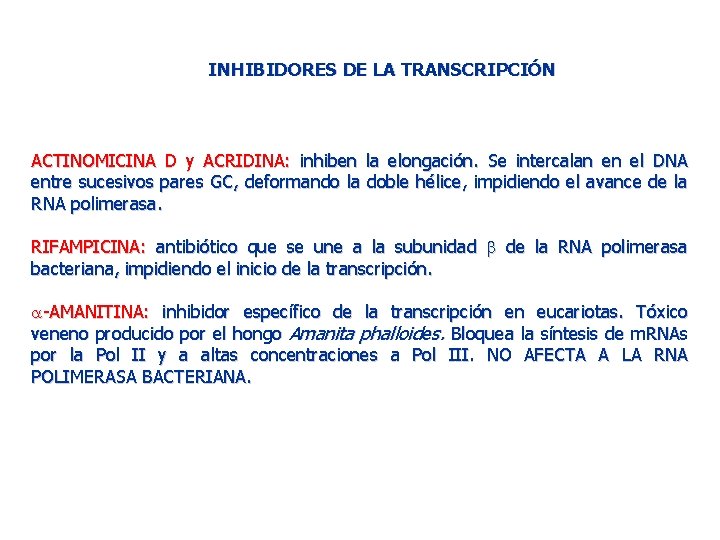 INHIBIDORES DE LA TRANSCRIPCIÓN ACTINOMICINA D y ACRIDINA: inhiben la elongación. Se intercalan en