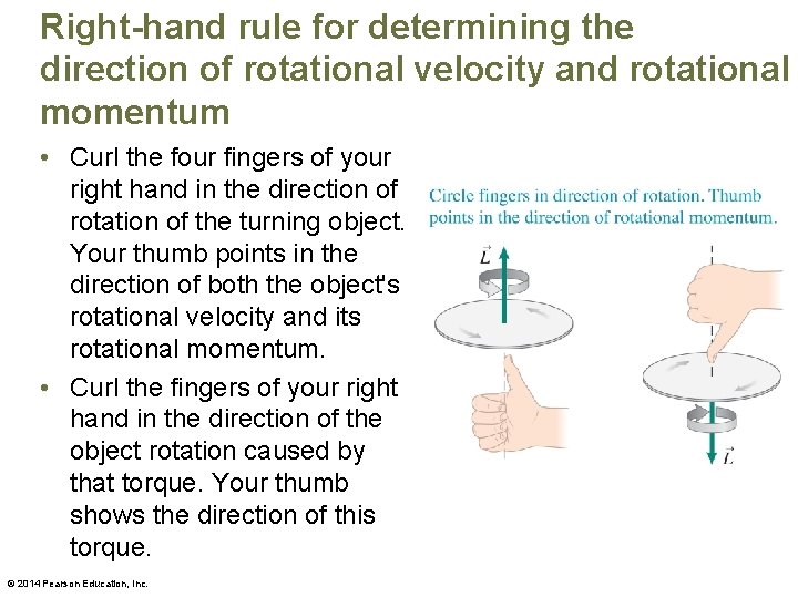 Right-hand rule for determining the direction of rotational velocity and rotational momentum • Curl