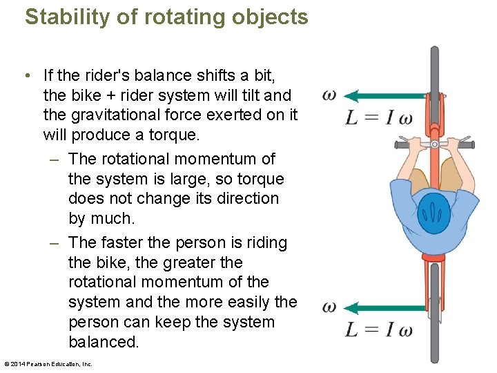 Stability of rotating objects • If the rider's balance shifts a bit, the bike